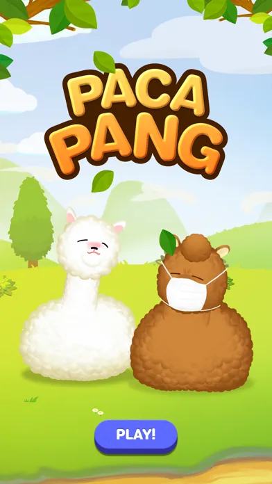 pacapang سکرین شاٹس